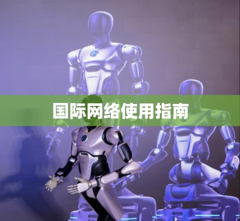 国际网络使用指南