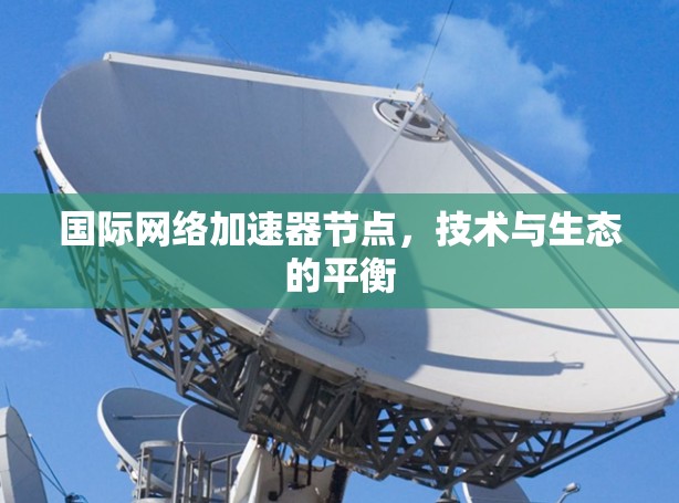 国际网络加速器节点，技术与生态的平衡