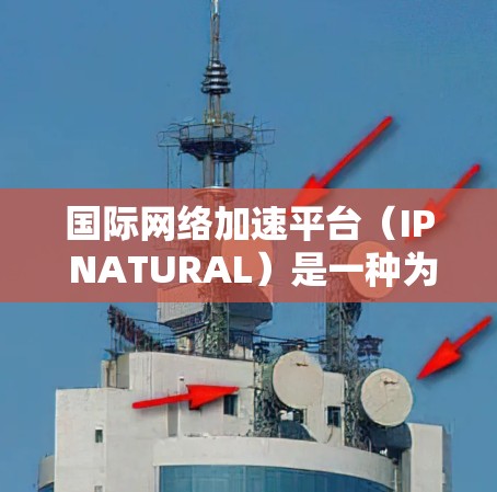 国际网络加速平台(IP NATURAL)是一种为用户提供在海外使用网络服务的工具,旨在减少文化差异带来的影响。以下是对该领域的一些关键点的总结