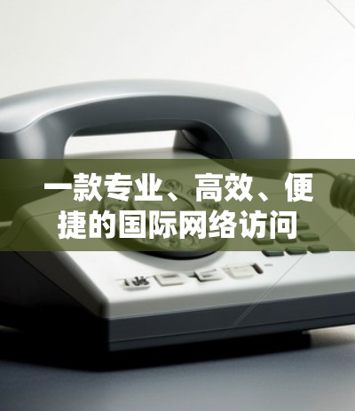 一款专业、高效、便捷的国际网络访问工具,助力您的网络需求