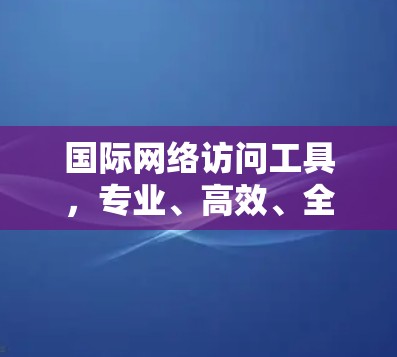 国际网络访问工具,专业、高效、全面,助力网络优化与安全