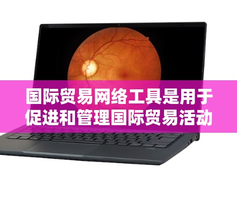 国际贸易网络工具是用于促进和管理国际贸易活动的网络平台和工具。这些工具可以帮助商家、客户、卖家、买家、法律专业人员等在国际贸易中更高效地进行交易和管理。以下是一些常见的国际贸易网络工具及其用途