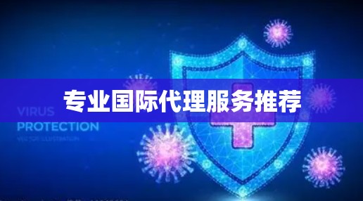 专业国际代理服务推荐