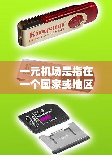 一元机场是指在一个国家或地区的多个机场中，只有一个主要机场，其他机场由中央政府或相关国家运营。这种结构可以减少复杂的交通网络，提高交通效率，尤其在繁忙地区或国际大都市中