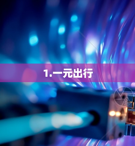1.一元出行