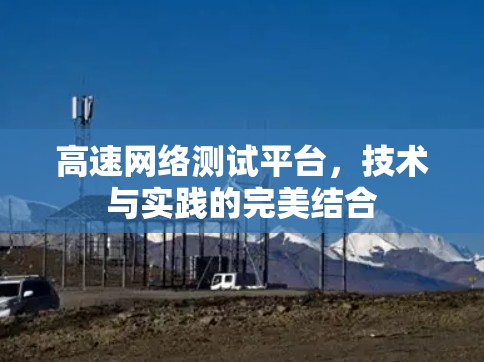 高速网络测试平台，技术与实践的完美结合