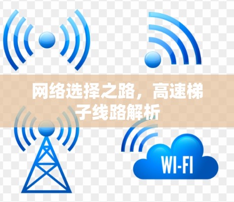 网络选择之路，高速梯子线路解析