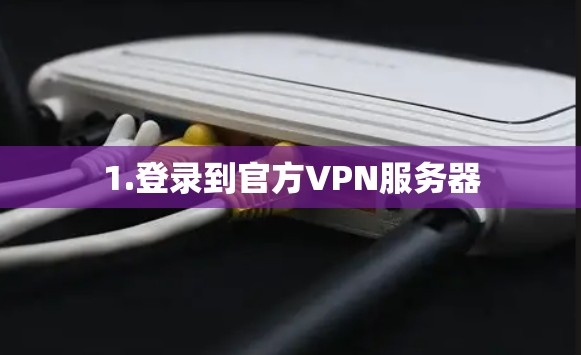 1.登录到官方VPN服务器 1.登录到官方VPN服务器