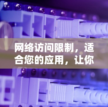 网络访问限制,适合您的应用,让你的网络访问更安心 网络访问限制,适合您的应用,让你的网络访问更安心
