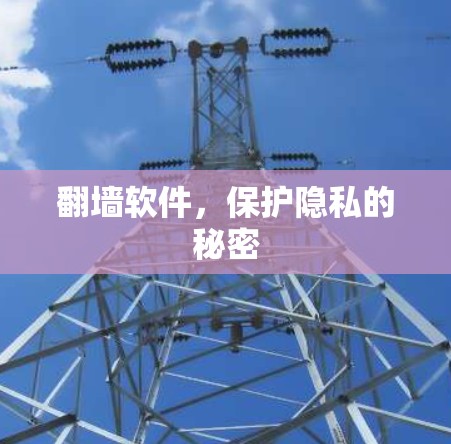 翻墙软件,保护隐私的秘密 翻墙软件,保护隐私的秘密