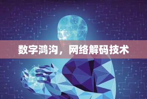 数字鸿沟,网络解码技术 数字鸿沟,网络解码技术