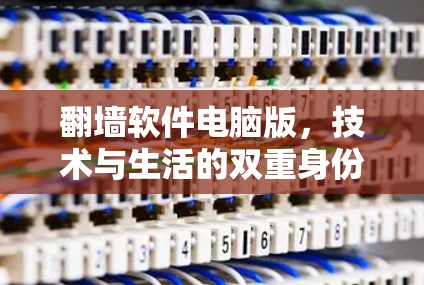 翻墙软件电脑版，技术与生活的双重身份
