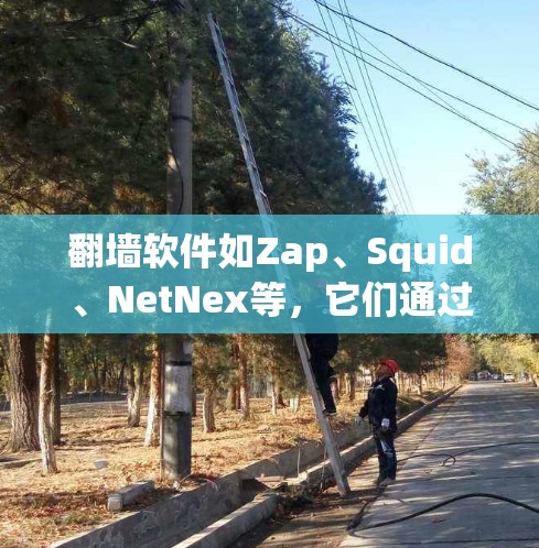 翻墙软件如Zap、Squid、NetNex等，它们通过安装和配置软件包实现将IP地址或网页地址翻墙到安全的服务器上。以下是安装和配置翻墙软件的基本步骤
