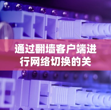 通过翻墙客户端进行网络切换的关键步骤如下