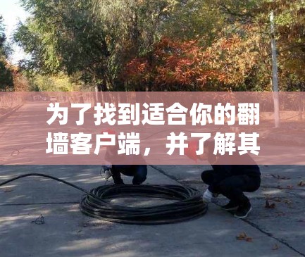 为了找到适合你的翻墙客户端,并了解其安全性和功能,以下是一步步的建议