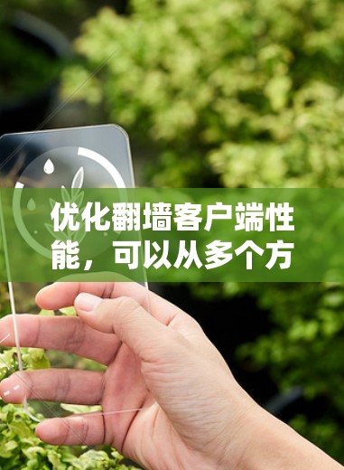 优化翻墙客户端性能,可以从多个方面入手,包括服务器优化、客户端性能优化、网络请求处理、性能监控、安全防护、性能测试以及持续优化等。以下是对这些方面的详细建议