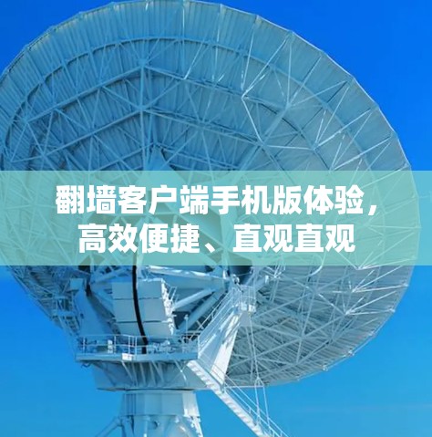 翻墙客户端手机版体验,高效便捷、直观直观