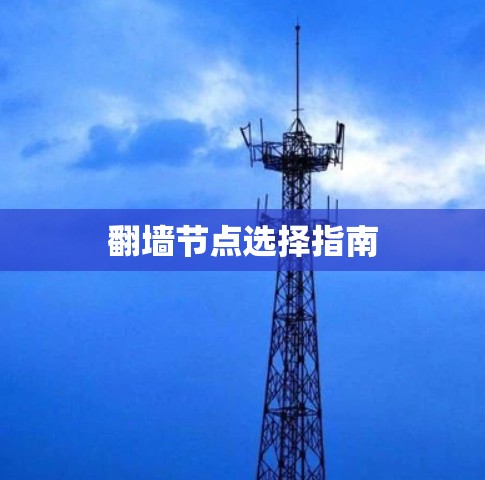翻墙节点选择指南