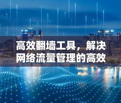 高效翻墙工具,解决网络流量管理的高效解决方案 高效翻墙工具,解决网络流量管理的高效解决方案