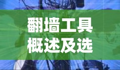 翻墙工具概述及选择标准