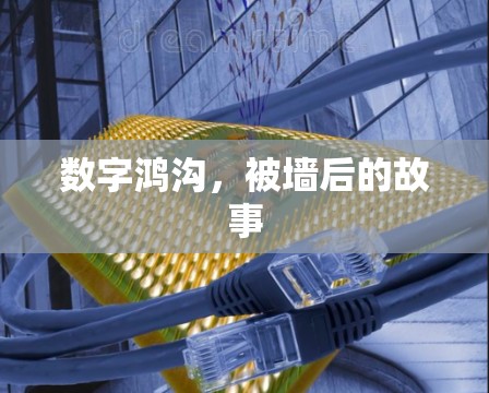 数字鸿沟,被墙后的故事 数字鸿沟,被墙后的故事