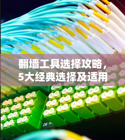 翻墙工具选择攻略，5大经典选择及适用场景解析
