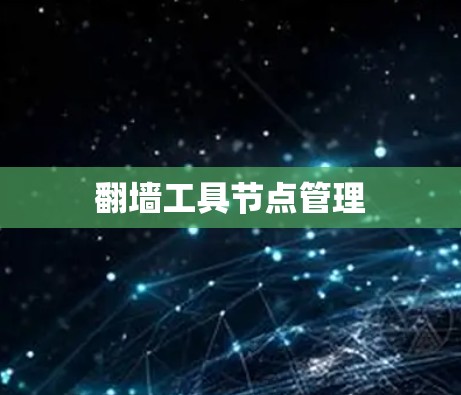 翻墙工具节点管理