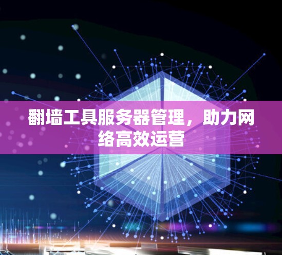 翻墙工具服务器管理,助力网络高效运营 翻墙工具服务器管理,助力网络高效运营