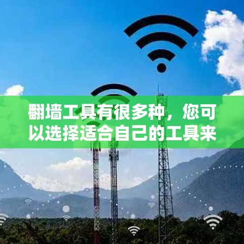 翻墙工具有很多种,您可以选择适合自己的工具来实现翻墙。以下是一些常见的翻墙工具及其特点 翻墙工具有很多种,您可以选择适合自己的工具来实现翻墙。以下是一些常见的翻墙工具及其特点