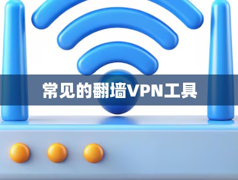 常见的翻墙VPN工具 常见的翻墙VPN工具