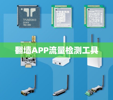 翻墙APP流量检测工具