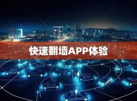 快速翻墙APP体验