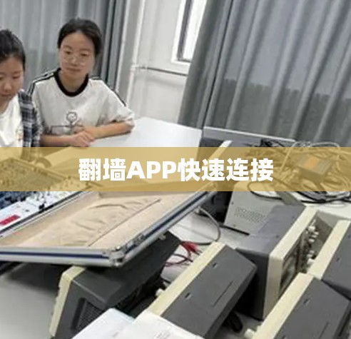 翻墙APP快速连接