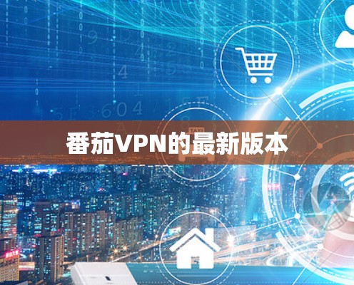 番茄VPN的最新版本