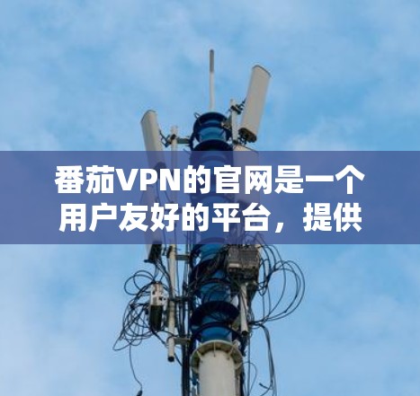 番茄VPN的官网是一个用户友好的平台,提供多种VPN服务,包括免费加速器下载。以下是使用番茄VPN的步骤说明 番茄VPN的官网是一个用户友好的平台,提供多种VPN服务,包括免费加速器下载。以下是使用番茄VPN的步骤说明