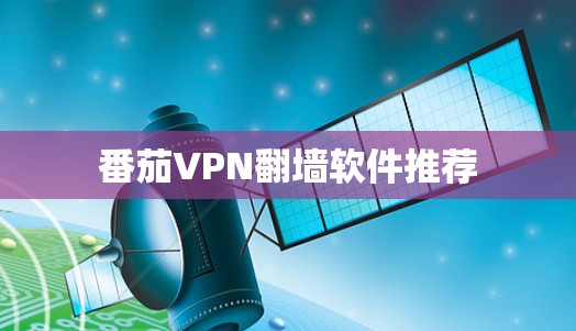 番茄VPN翻墙软件推荐 番茄VPN翻墙软件推荐