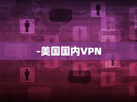 -美国国内VPN -美国国内VPN