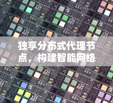 独享分布式代理节点，构建智能网络生态