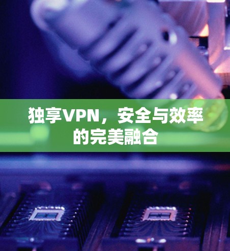 独享VPN，安全与效率的完美融合