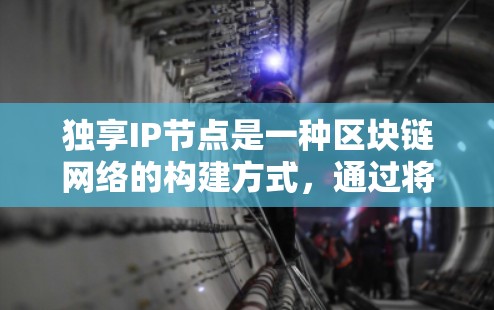 独享IP节点是一种区块链网络的构建方式，通过将每个IP地址分配一个独立的节点来实现。以下是该概念的详细分析和步骤说明