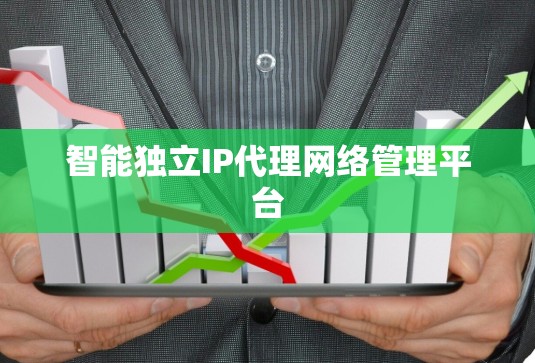 智能独立IP代理网络管理平台 智能独立IP代理网络管理平台