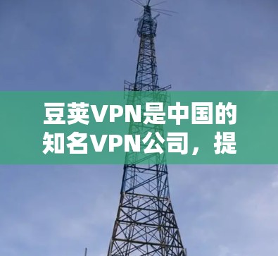 豆荚VPN是中国的知名VPN公司，提供多种VPN服务。以下是豆荚VPN的官方网站入口