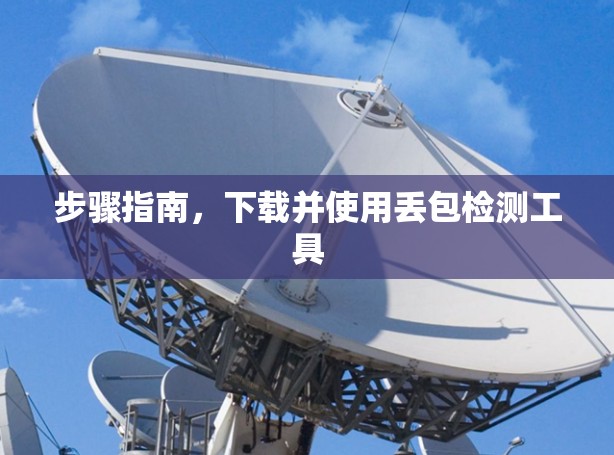 步骤指南,下载并使用丢包检测工具 步骤指南,下载并使用丢包检测工具