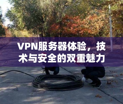 VPN服务器体验，技术与安全的双重魅力