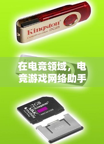 在电竞领域，电竞游戏网络助手通常指的是通过网络连接到电竞相关的设备或服务，以便玩家或团队在游戏或比赛过程中使用。这些设备可能包括