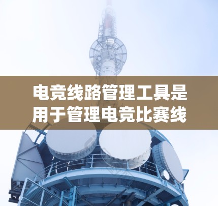 电竞线路管理工具是用于管理电竞比赛线路的软件或工具。这些工具帮助玩家选择适合的比赛线路，分析比赛数据，优化比赛策略，提高胜率。以下是对电竞线路管理工具的系统总结