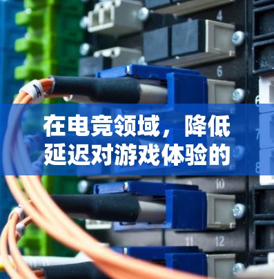 在电竞领域，降低延迟对游戏体验的提升至关重要。电竞比赛中，延迟会影响游戏流畅度和玩家操作的效率，因此引入低延迟助手具有重要意义。以下是对电竞中低延迟助手的详细分析