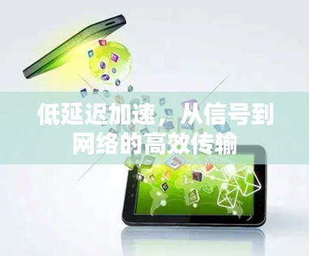 低延迟加速，从信号到网络的高效传输