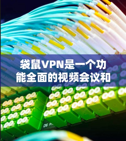 袋鼠VPN是一个功能全面的视频会议和远程办公服务，适合需要在不同语言和环境中进行视频会议的用户。以下是对袋鼠VPN的详细分析