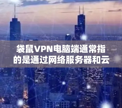袋鼠VPN电脑端通常指的是通过网络服务器和云服务提供商（如袋鼠云）配置在电脑上的VPN端口，用于安全地传输数据。以下是关于如何使用电脑端上的VPN端口的一些关键点和步骤